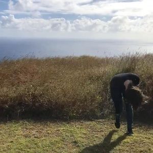 Meet your Posher, Jessie